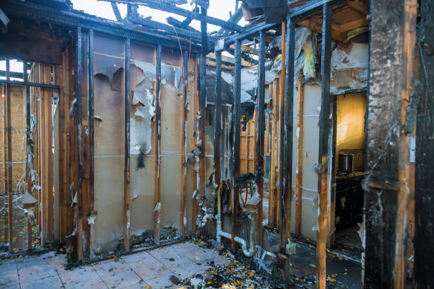 Professional Fire Damage Removal technician working in Bell Gardens, CA